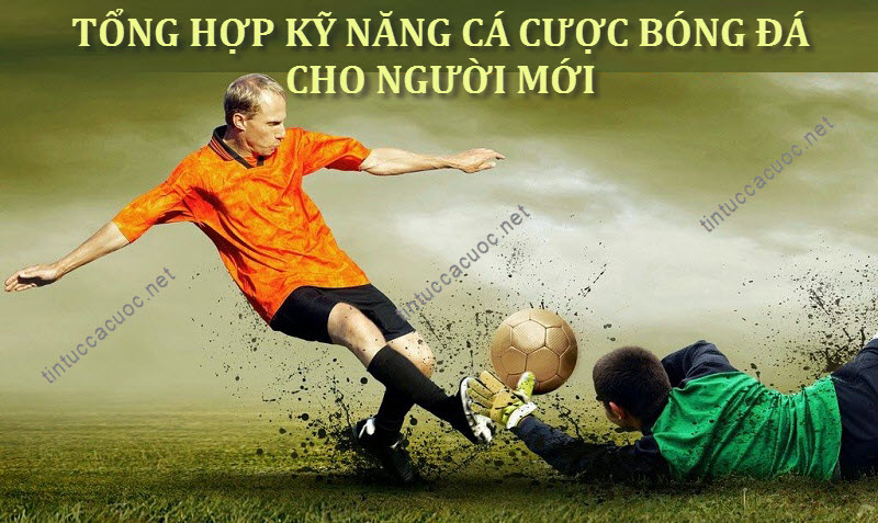 nhà cái debet chia sẻ kỹ năng cá độ bóng đá