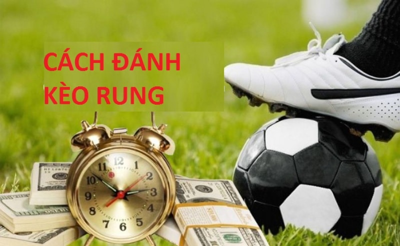 Hướng dẫn cách đọc kèo rung chuẩn từ nhà cái Debet